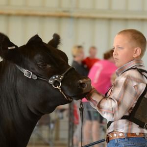 Meet your Posher, Wyatt